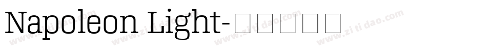 Napoleon Light字体转换